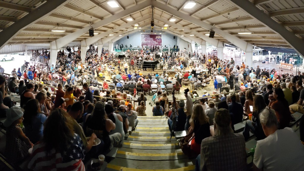 County Fair Comeback