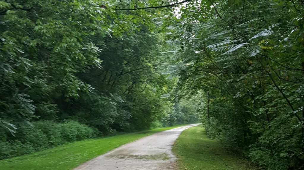 Down the Muddy Trail