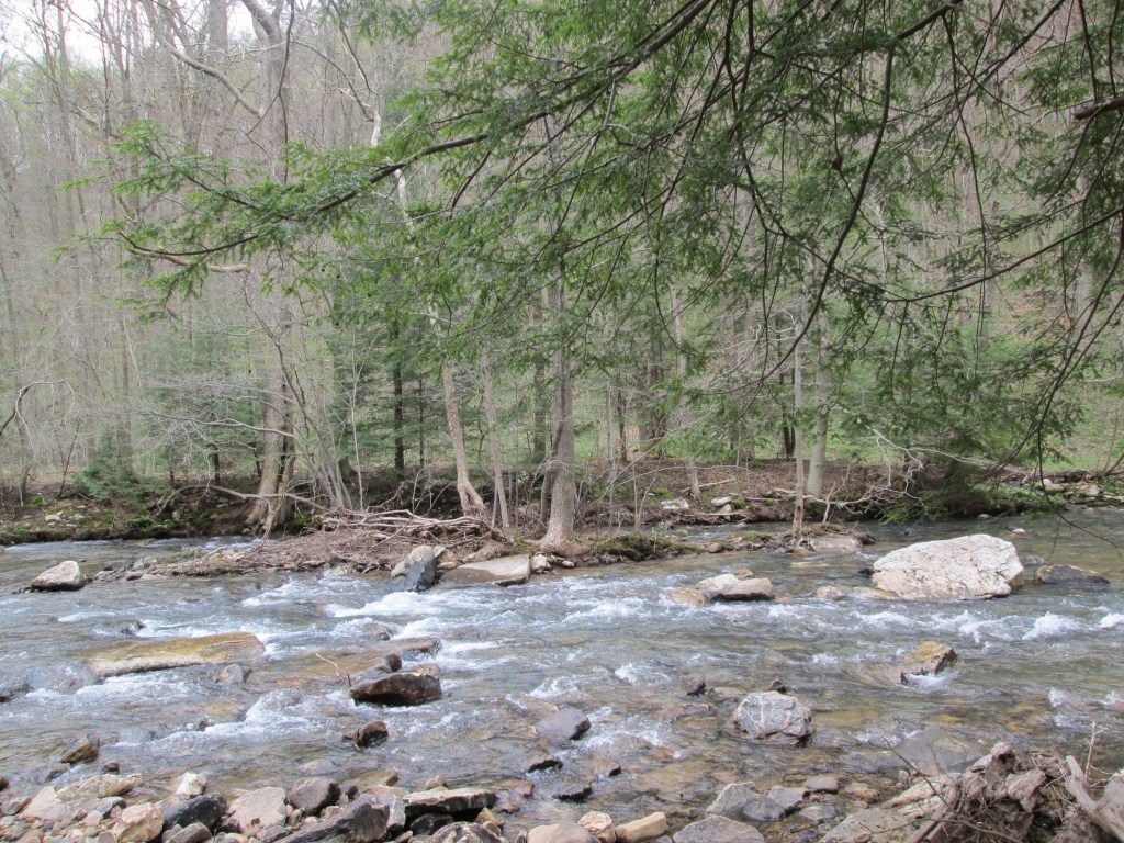 Dunbar Creek at Betty Knox 2015