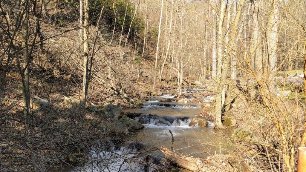 Laurel Run at the Gun Club