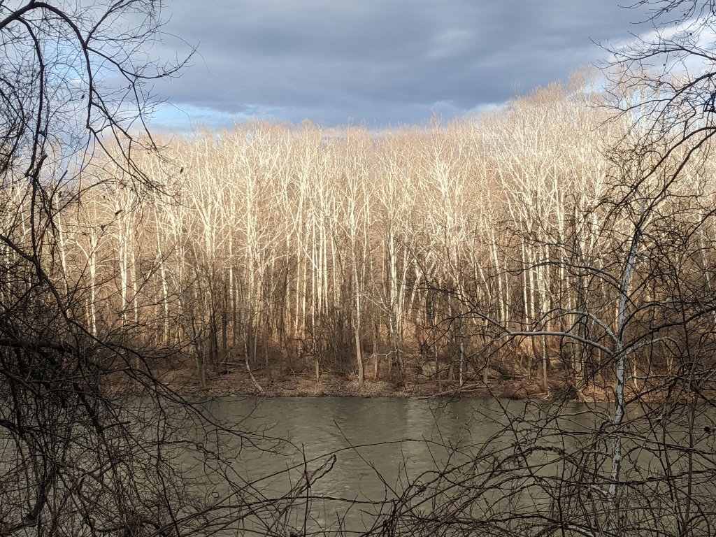 First of March River