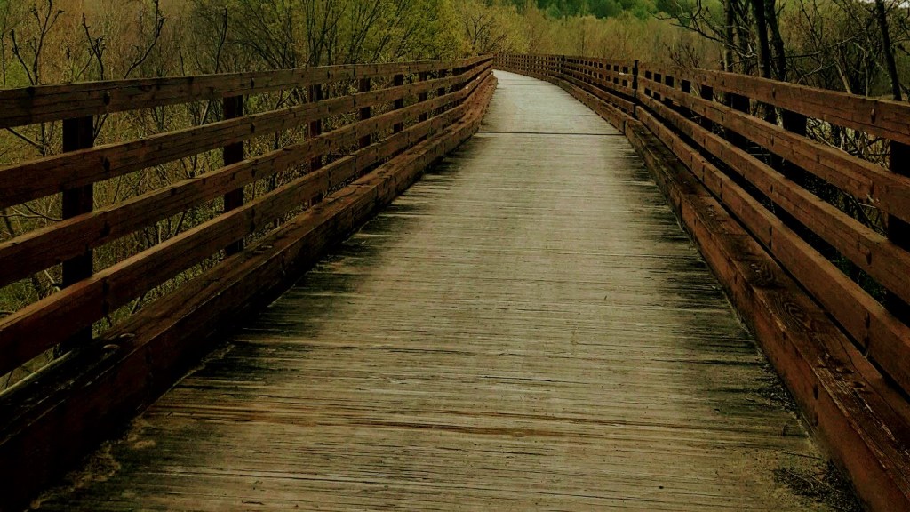 The Greenwood Viaduct of the Great Allegheny Passage in 2010
