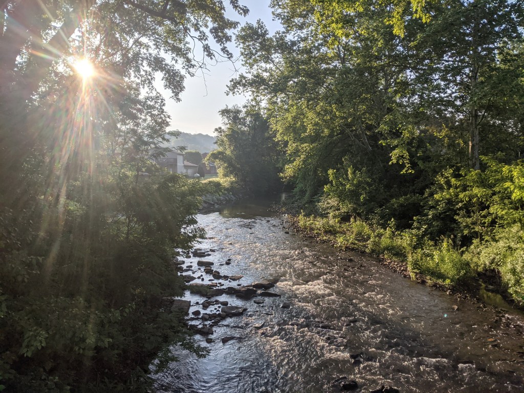 Looking at the creek near my home after sunrise on a late spring morning
