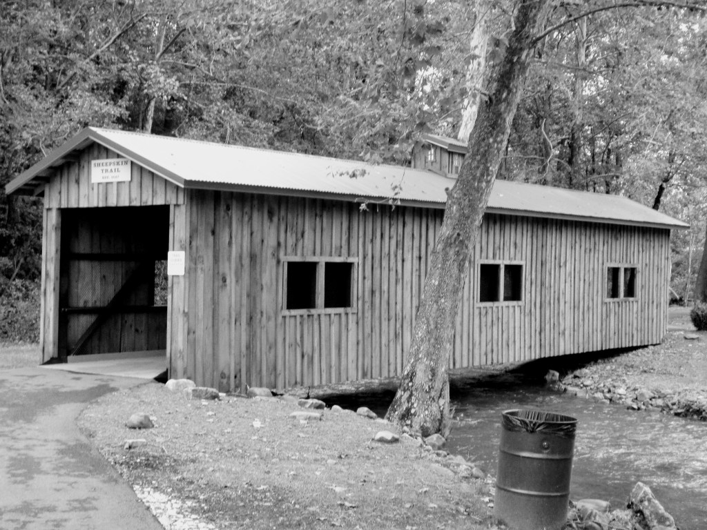 Repurposed Covered Pedestrian Bridge